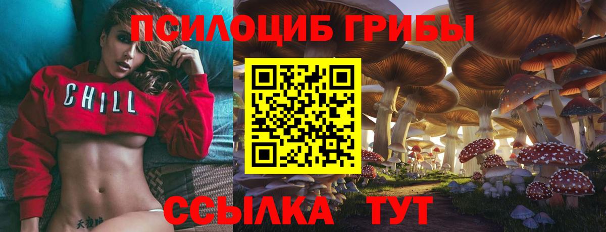 Галлюциногенные грибы GOLDEN TEACHER Тельмана